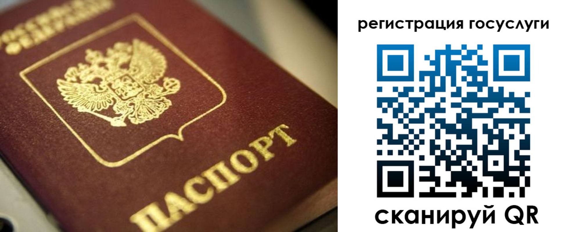 временная регистрация поиск в Шали