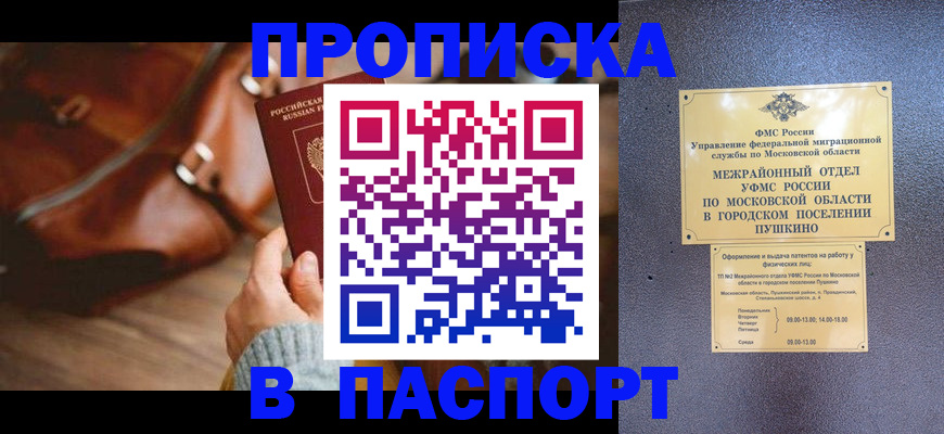 временная регистрация недорого в Шали